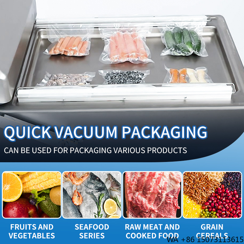 DZ-4002SA  Double Chamber Vacu - Meal Prep Chicken recension och pris