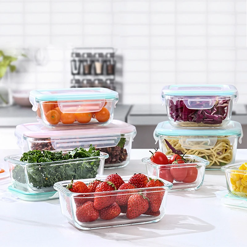 Borosilicate Glass Lunch Box A - Meal Prep Day recension och pris
