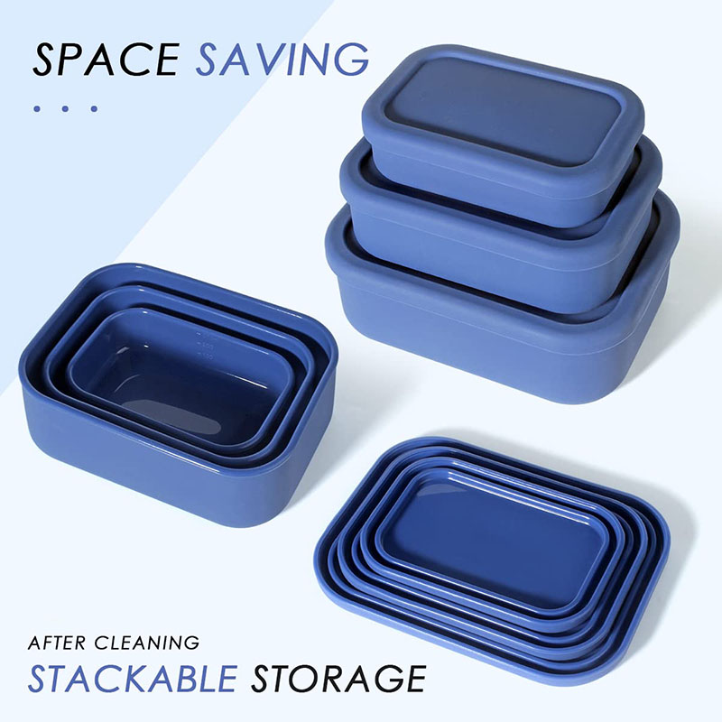 Leak-Resistant Bento Lunch Box - Meal Prep Day recension och pris