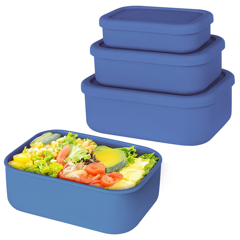 Leak-Resistant Bento Lunch Box - Meal Prep Day recension och pris