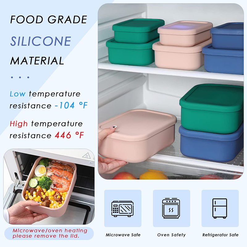 Leak-Resistant Bento Lunch Box - Meal Prep Day recension och pris